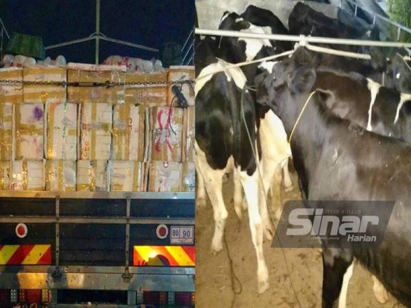 Kesemua barangan runcit seludup disembunyikan di bahagian tengah kenderaan bagi mengaburi mata pihak berkuasa.