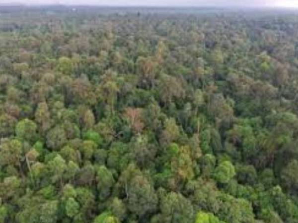 PHSKLU desak cadangan penyahwartaan Hutan Simpan Kuala Langat Utara ditarik segera selari dengan bantahan yang jelas daripada rakyat Selangor.