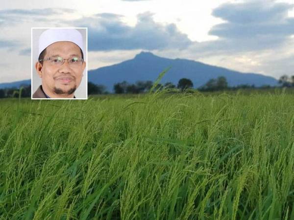Negeri jelapang padi malaysia