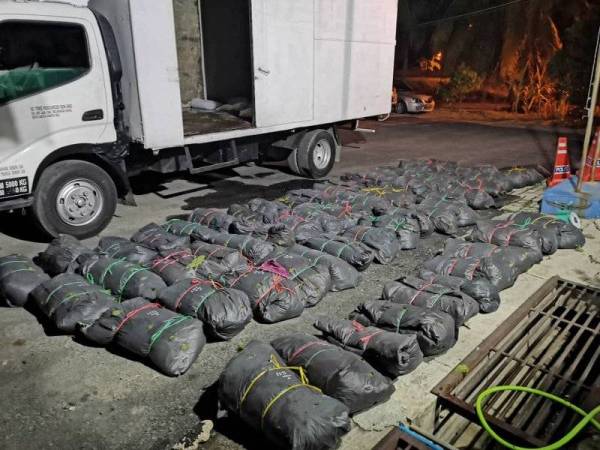 Polis berjaya menumpaskan pengedaran daun ketum selepas menahan empat lelaki dalam serbuan di Bendang Sungai Kerang. Foto Ihsan PDRM