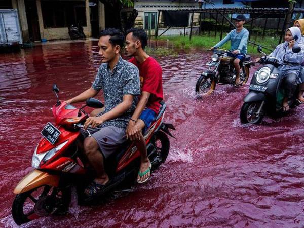 Seluruh kampung Jenggot di bandar Pekalongan itu dilanda banjir berwarna merah. - Foto Agensi