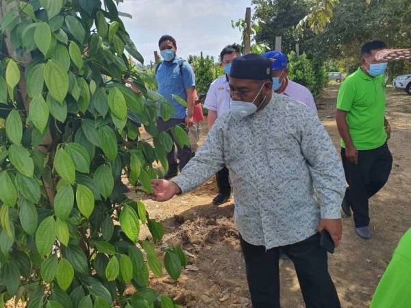 Contoh Surat Permohonan Jentera Khas Kepada Menteri Pertanian