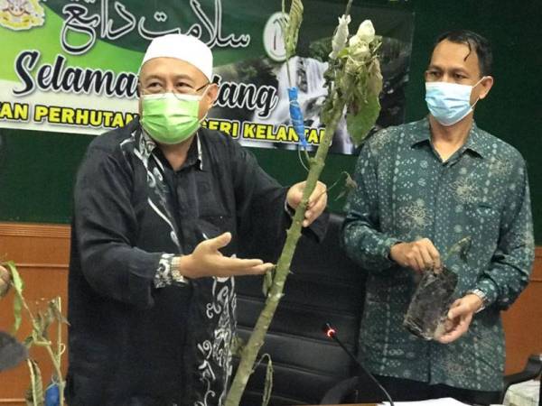 Abdul Khalim (dua dari kanan) menunjukkan gambar lokasi serbuan yang membawa kepada penemuan pokok ketum.