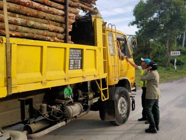 Pegawai perhutanan melakukan pemeriksaan pada salah sebuah lori dalam Ops Oren. Foto: ihsan Jabatan Perhutanan Perak