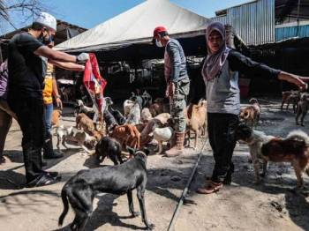 Penduduk Kubang Jelai bantah pemindahan anjing dan kucing