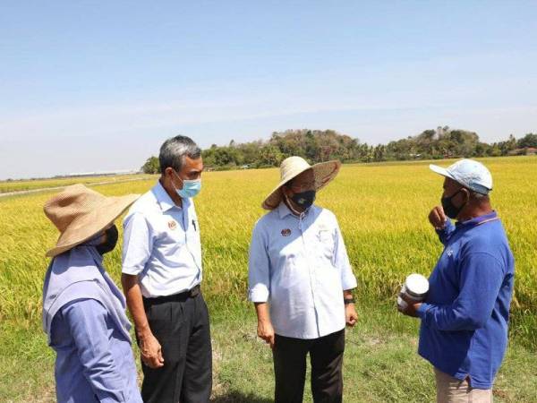 Ahmad Tarmizi (dua dari kanan) ketika meninjau kawalan bena perang di sawah padi sekitar Tanjung Radin dan Bukit Seni, Pendang baru-baru ini.