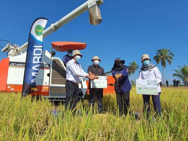 Institut Penyelidikan Dan Kemajuan Pertanian Malaysia Sinar Harian