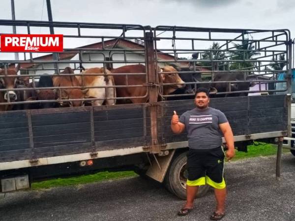 Mohd Ezril Hisham bersama ternakan yang sedia dipasarkan.