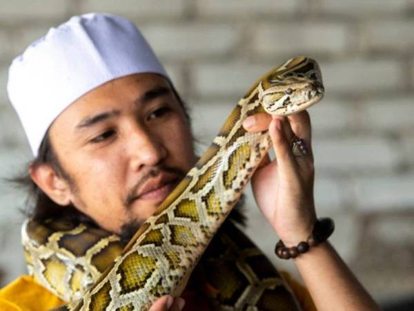 Penghantar Makanan Jadikan Rumah Zoo Ular