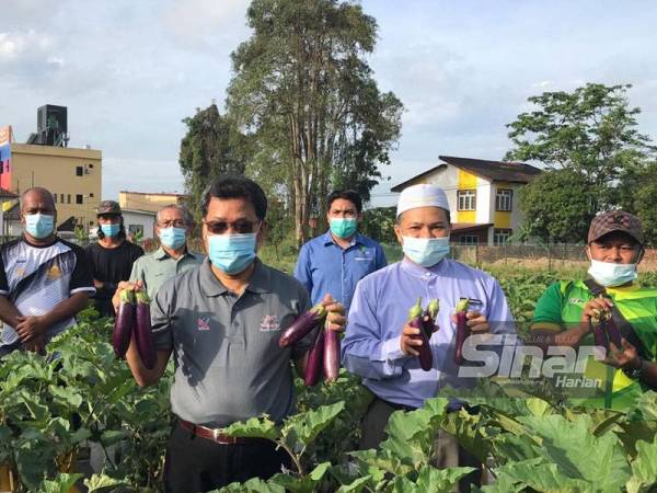 Che Abdullah (empat dari kanan) bersama penduduk di Pasir Pekan, Tumpat menunjukkan hasil tanaman terung menerusi Projek Pertanian Bandar Komuniti Belia Pasir Pekan di Masjid An-Nur, Mukim Kubang Labu, Tumpat pada Ahad.