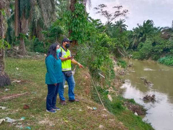 Pegawai JAS melakukan siasatan di Sungai Kulim berdekatan Kampung Tun Sardon, Ara Kuda, Kepala Batas berhubung fenomena ikan mabuk di sungai berkenaan.