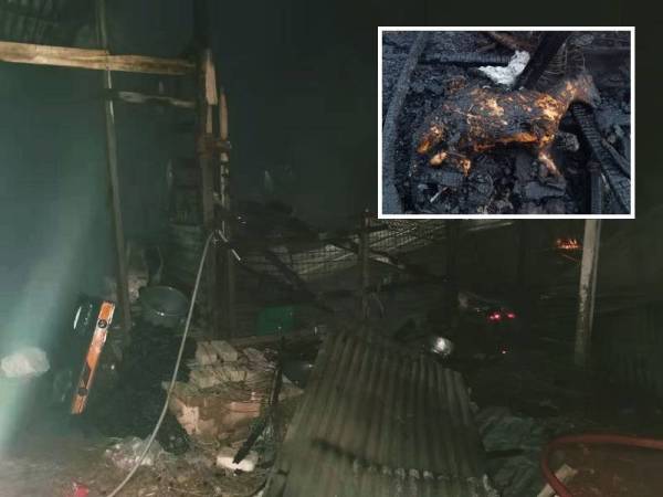 Sebuah kandang musnah 90 peratus akibat terbakar di di Jalan Kampung Permatan Durian, Padang Serai pada awal pagi Rabu.