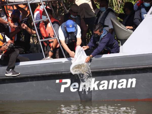 Saarani menyempurnakan pelepasan benih ikan dan udang ke Sungai Nibung Hangus, Bagan Serai pada Khamis.