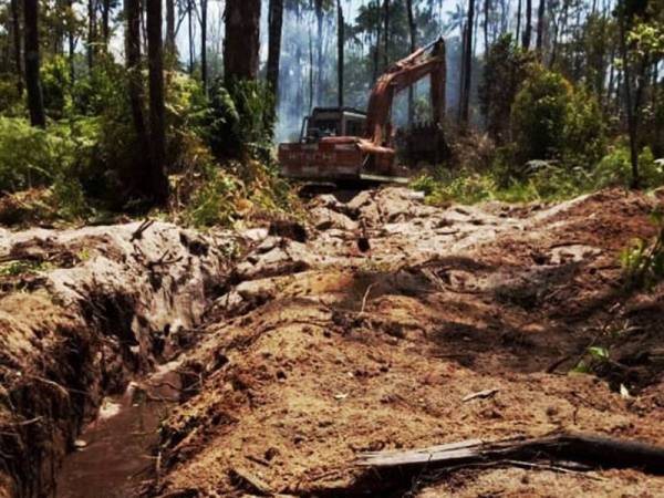 Pasukan bomba bersama Pejabat Hutan Negerj membuat sekatan api bagi mencegah kebakaran di Hutan Tanah Gambut di daerah Rompin. FOTO: Ihsan Bomba Pahang