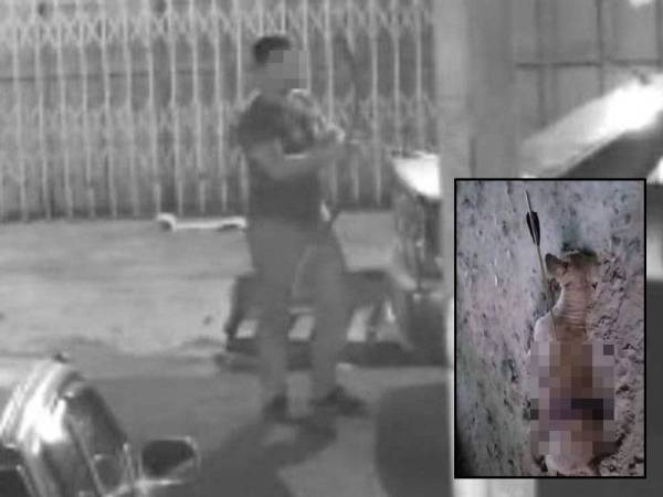 Kelibat seorang lelaki yang terdapat di dalam CCTV dan memanah anjing tersebut di di kawasan Seberang Jalan Putra, Alor Setar pada Khamis lalu.