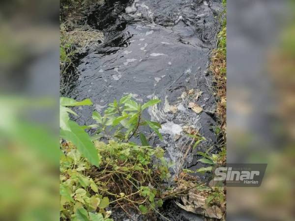 Air sungai yang menjadi hitam akibat aktiviti pembuangan sampah haram di atas tanah lapang di Kampung Cherakah Jaya Meru.