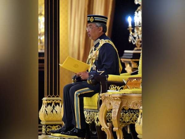 Dasar pembangunan bandar raya perlu rangka strategi daya tahan: Agong