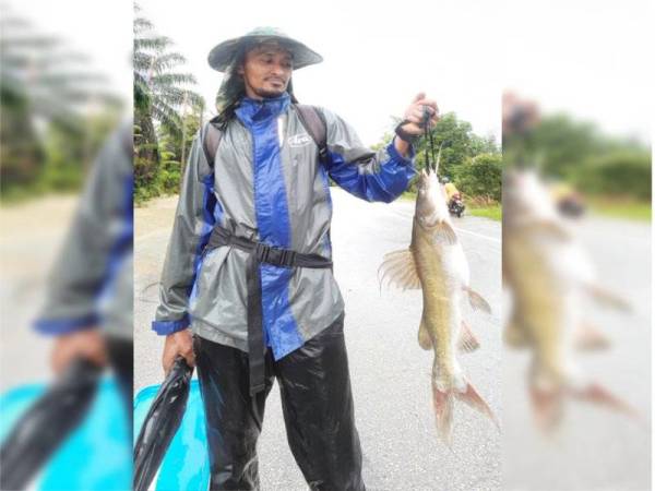 Azhar menunjukkan ikan Baung yang berjaya ditangkap di Sungai Riau awal pagi Rabu.