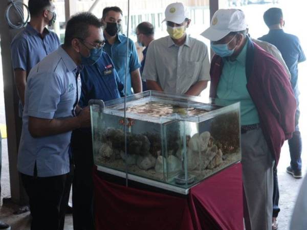 Sultan Sallehuddin (kanan) dan Tengku Sarafudin Badlishah (dua dari kanan) melihat terumbu karang semasa perkenan berangkat ke Taman Laut Pulau Payar pada Khamis. 