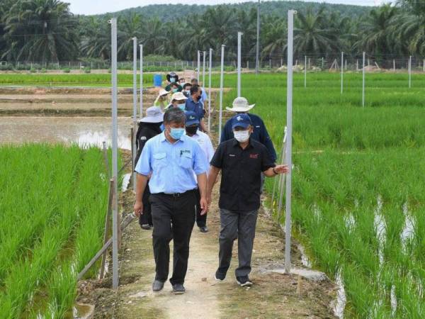 Ronald Kiandee (depan, kanan) mendengar penerangan dari Ketua Pegawai Eksekutif GWG, Dr Chua Kim Aik (depan, kiri), pada Program Walkabout dan Taklimat Industri Benih di Green World Genetics Sdn Bhd (GWG) pada Jumaat. -Foto Bernama