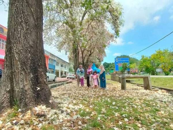 Noradibah tidak melepaskan peluang bergambar bersama keluarganya di pokok tekoma di Taman Bandar Baru Masjid Tanah.