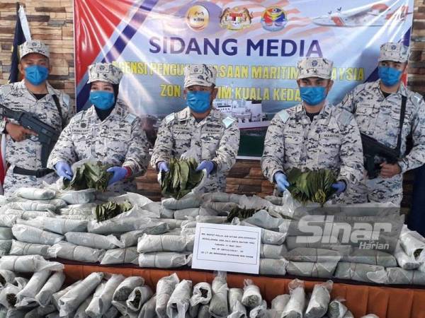 Mohd Zawawi (tengah) menunjukkan sebahagian daun ketum yang berjaya dirampas oleh anggotanya di muara Kuala Jerlun pada pagi Rabu.