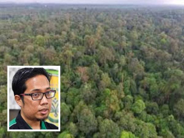 Tindakan kerajaan negeri Selangor yang mahu menyahwartakan status Hutan Kuala Langat Utara sebagai Hutan Simpan Kekal bagi tujuan pembangunan wajar ditarik semula. (Gambar kecil: Muhammad Faisal Abdul Aziz)