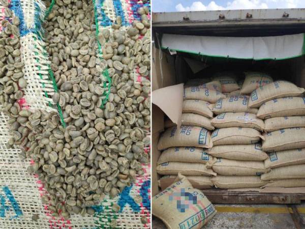 Maqis merampas sebuah kontena mengandungi biji kopi seberat 173,074kg bernilai lebih RM3.2 juta di Pelabuhan Klang Utara pada Khamis.