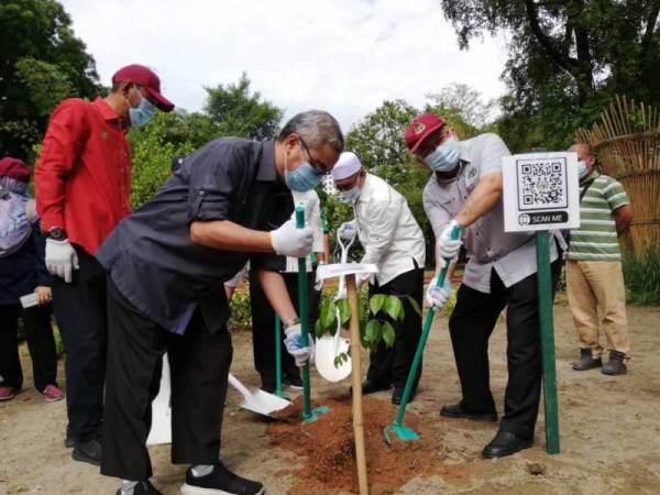 Rumaizi (kanan) melakukan gimik perasmian dengan penanaman pokok Merbau sempena Majlis Penanaman Pokok sempena Program Perak Bumi Lestari di Taman Dr Seenivasagam, Ipoh pada Sabtu.