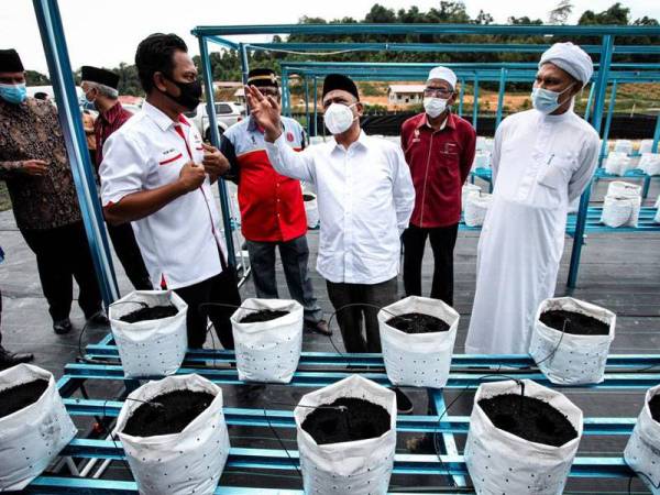 Saarani (tengah) melawat ladang cili fertigasi yang diusahakan di Maahad Tahfiz dan Kemukjizatan Al-Quran Air Jernih, Kampung Ulu Kenderong, Gerik pada Sabtu.