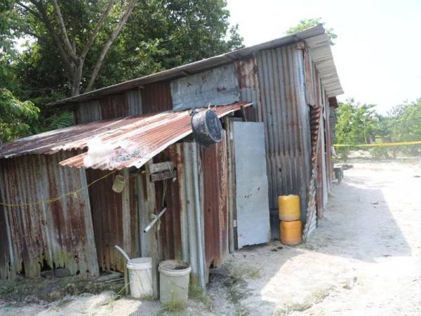 Mayat mangsa ditemui lebih kurang 20 meter dari pondok yang digunakan sebagai tempat penginapan di kebun sayur di Ayer Hitam Labu, Tronoh Mines, Kampar pada Isnin. -Foto: Ihsan pembaca