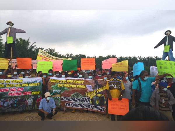 Peneroka mengadakan perhimpunan aman di Ladang Tannamaram, Bestari Jaya bagi membantah tindakan kerajaan negeri memberikan pajakan kepada tiga syarikat tanpa sebarang perbincangan dengan peneroka yang mengusahakan tanah itu sejak lebih 40 tahun lalu.