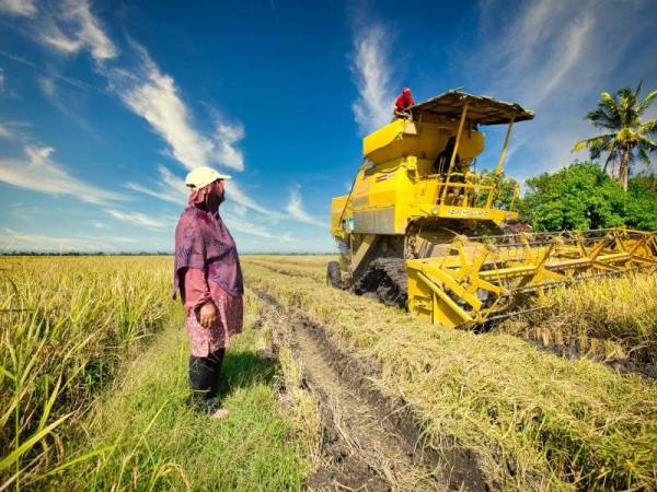 MADA sentiasa berusaha membantu petani meningkatkan hasil pertanian mereka.