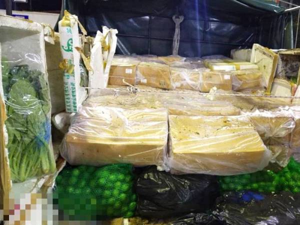 Maqis Kelantan menggagalkan cubaan menyeludup ayam sejuk seberat 7,212kg bernilai RM36,060 dalam Operasi Pematuhan Import dan Eksport Keluaran Pertanian di Kompleks ICQS pada Khamis.