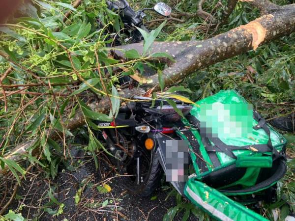 Dahan pokok yang menghempap penghantar makanan ketika menunggang sebuah motosikal di Jalan Damai Jasa, Kuala Lumpur pada petang Khamis.