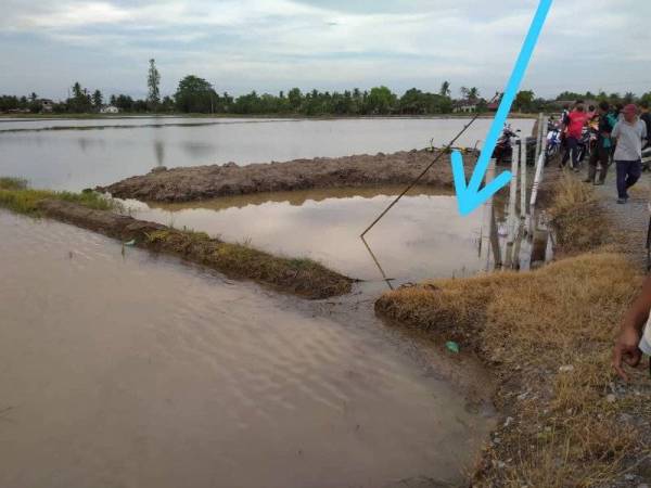 Kanak Kanak Lemas Dalam Sawah Takungan Air