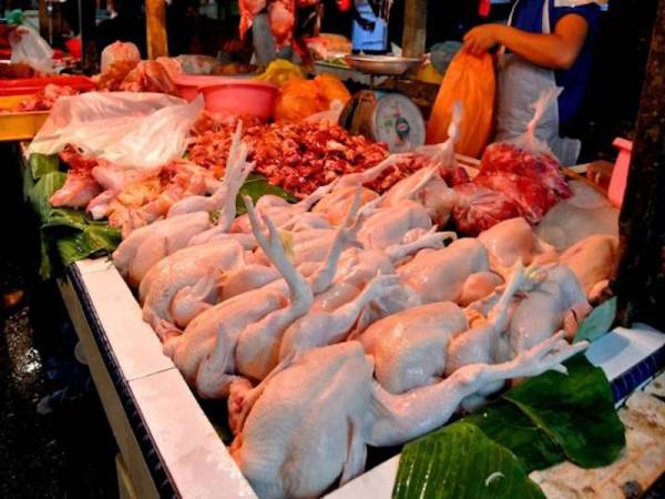 KPDNHEP keluar 50 notis kepada peniaga ayam