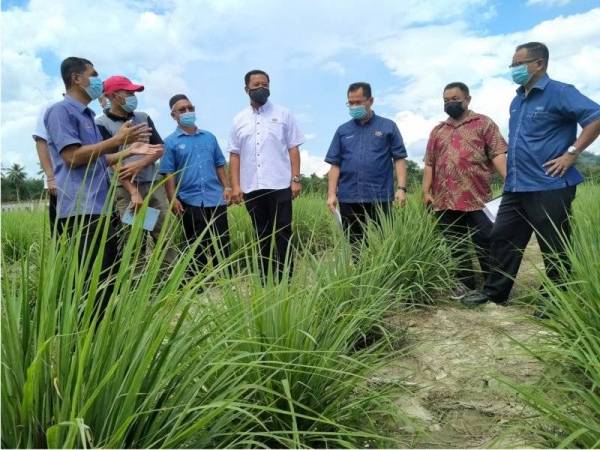 Abdul Rahman menggalakkan penduduk menyertai Projek Tanaman Serai bagi menjana pendapatan penduduk kampung.