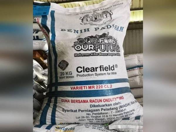 Benih padi sah varieti MR 220 CL 2 keluaran MADACorp yang dipalsukan pihak tidak bertanggungjawab.