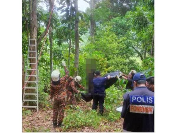 Anggota bomba membantu menurunkan mayat mangsa yang ditemukan tergantung di dalam kawasan hutan di Kampung Bukit Jetik, Sungai Tong, Setiu. - Foto: Ihsan Bomba