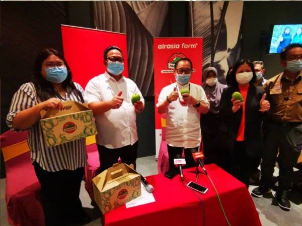 Jeffrey (tiga dari kiri) dan Joanna (kiri) menunjukkan mangga harumanis yang kini diedarkan di Sabah melalui AirAsia Farm.