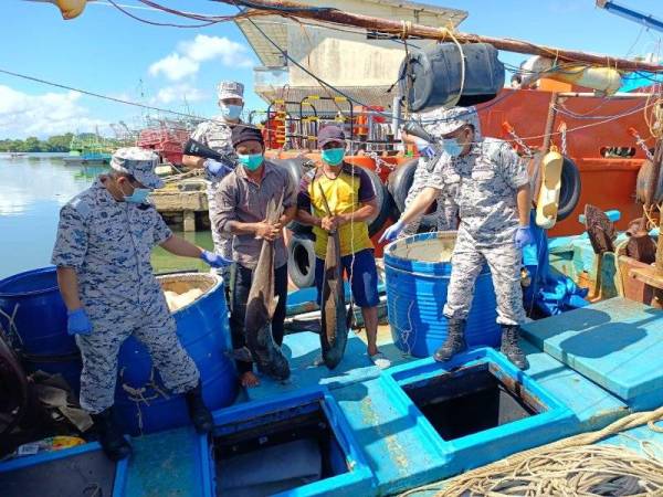 Nur Syam Asmawie (kiri) menunjukkan ikan yang dirampas oleh Maritim Malaysia Kelantan selepas menahan sebuah bot nelayan Vietnam pada jarak 178 kilometer dari muara Tok Bali.