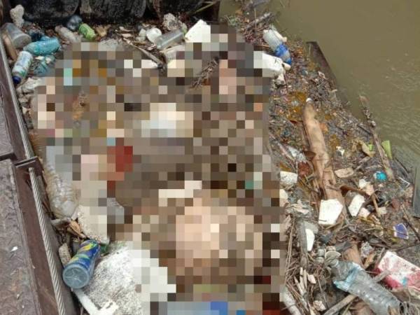 Mayat seorang wanita ditemukan terapung dalam keadaan kembung di Sungai Batu, Batu 3 Jalan Ipoh di sini pada Jumaat. - Foto ihsan Bomba KL