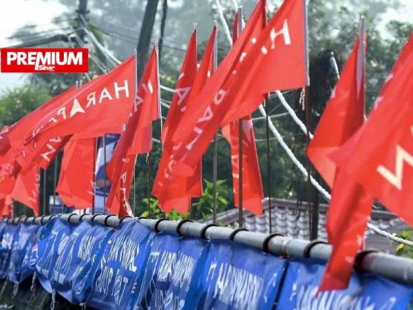 Pakatan Harapan Dahului Undi Popular