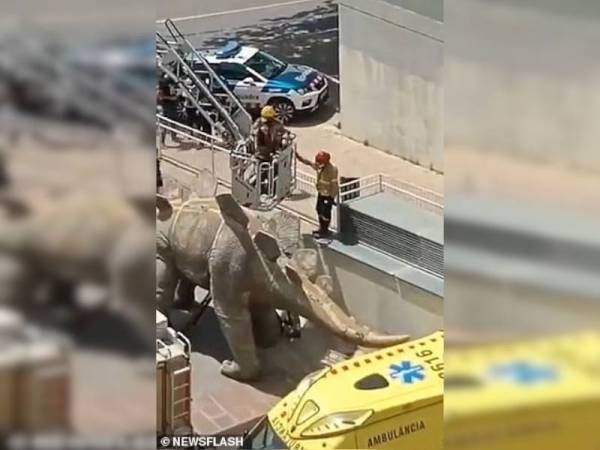 Pasukan penyelamat berusaha mengeluarkan mayat di dalam patung stegosaurus gergasi di Barcelona. - Foto Daily Mail