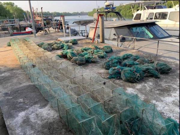 Sebanyak 57 bubu naga dirampas dalam operasi di perairan Kuala Kedah dan Kuala Sala.