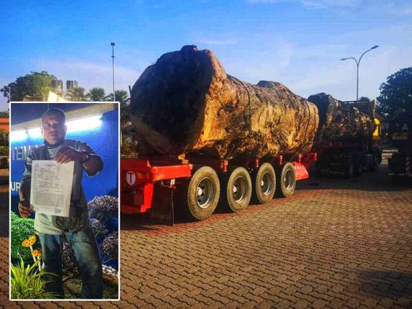 Gambar treler yang membawa muatan kayu balak saiz luar biasa tular di laman sosial.
Gambar kecil: Khaidir menunjukkan laporan polis yang dibuat di IPD Temerloh pada Selasa.