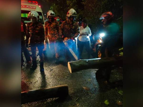 Pasukan bomba membersihkan pokok tumbang yang menghalang laluan kenderaan di lokasi kejadian.