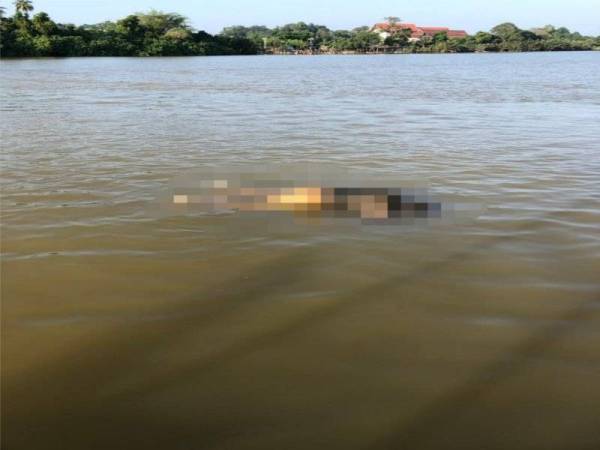 Keadaan mayat seorang lelaki yang terapung di Sungai Bukit Datu, Kuala Nerus pada Selasa. -Foto Ihsan pembaca