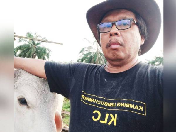 Laporan Tenggiling Mungkin Pembawa Koronavirus Penyelidik China